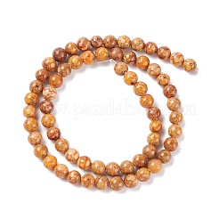 Natural Maifanite/Maifan Stone Beads Strands&nbsp;G-P451-01B-C