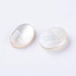Shell Cabochons&nbsp;G-L470-15
