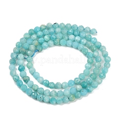 Natural Amazonite Beads Strands&nbsp;LS-G-P572-B04-A
