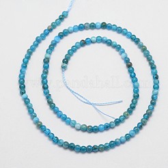 Natural Apatite Beads Strands&nbsp;G-D856-01-4mm
