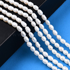 Natural Cultured Freshwater Pearl Beads Strands&nbsp;PEAR-N012-03E