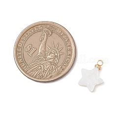 Natural Freshwater Charms&nbsp;PALLOY-JF04870