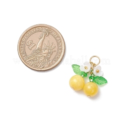 6Pcs 6 Styles Natural Amethyst & Carnelian & Mashan Jade & Malaysia Jade Cherry Pendants&nbsp;PALLOY-MZ00821