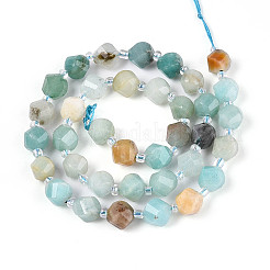 Natural Flower Amazonite Beads Strands&nbsp;G-T144-24A-02