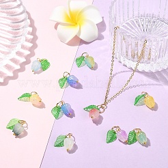 90Pcs 9 Colors Acrylic Charms&nbsp;PALLOY-YW00152