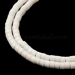 Natural Agate Beads Strands&nbsp;G-C139-A06-01