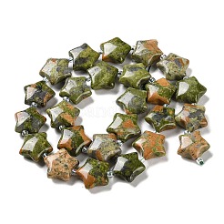 Natural Unakite Beads Strands&nbsp;G-NH0005-014