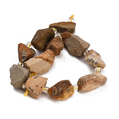 Natural Picture Jasper Beads Strands&nbsp;GG-CBA0B77-A08-03