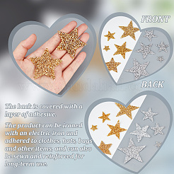 42Pcs 10 Style Star Glitter Hotfix Rhinestone&nbsp;FIND-PH0017-02