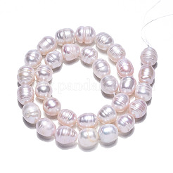 Natural Cultured Freshwater Pearl Beads Strands&nbsp;X-PEAR-N012-09B