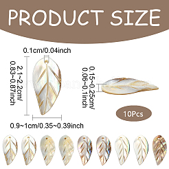 10Pcs Natural Freshwater Shell Carved Pendants&nbsp;SHEL-YW0001-10