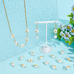 10 Sets Grade AA Natural Cultured Freshwater Pearl Connector Charms with Alloy Slices&nbsp;FIND-DC0003-65