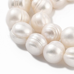 Natural Cultured Freshwater Pearl Beads Strands&nbsp;PEAR-C003-21B