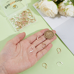 60Pcs 3 Styles 304 Stainless Steel Leverback Earring Findings&nbsp;STAS-BBC0008-30E