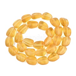 Frosted Handmade Lampwork Beads Strands&nbsp;LAMP-Q041-06D