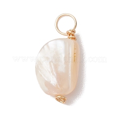 Natural Seashell Nuggets Charms&nbsp;PALLOY-JF02842