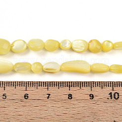 Natural White Shell Beads Strands&nbsp;SHEL-N036-21H