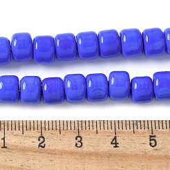 Handmade Lampwork Beads Strands&nbsp;LAMP-I030-02B