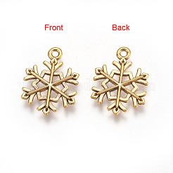 Tibetan Style Alloy Pendants&nbsp;TIBEP-GC114-AG-NR