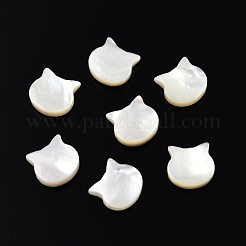 Natural White Shell Beads&nbsp;SSHEL-N003-142