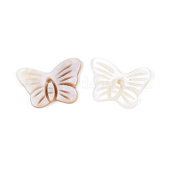Natural Freshwater Shell Pendants&nbsp;SHEL-T020-63