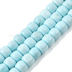 Natural Magnesite Beads Strands&nbsp;G-P598-C01-01B