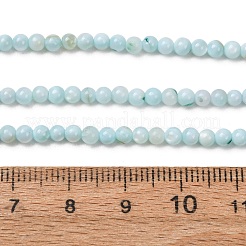 Dyed Natural Freshwater Shell Beads Strands&nbsp;SH-CBA2978-07A-01