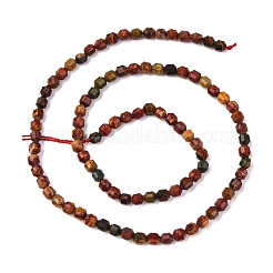 Natural Picasso Stone/Polychrome Jasper Beads Strands&nbsp;G-A260-A24-01