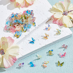 72Pcs 12 Colors 3D Resin Cabochons&nbsp;MRMJ-FI0001-01