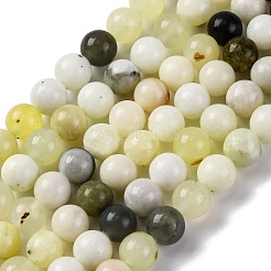 Natural New Jade Beads Strands&nbsp;X-G-F591-16-8MM
