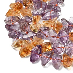 Natural Ametrine Beads Strands&nbsp;G-L634-G01-01