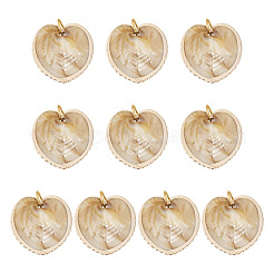 10Pcs Natural Shell Pendants&nbsp;PALLOY-TAC0204