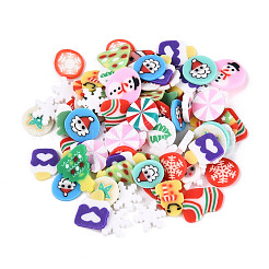 Handmade Polymer Clay Cabochons&nbsp;CLAY-N013-01B
