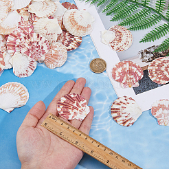 500G Natural Shell Ornaments&nbsp;DJEW-FH0001-35A
