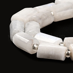 Natural Rainbow Moonstone Beads Strands&nbsp;G-N327-06-38