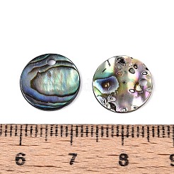 Natural Paua Shell Disc Charms&nbsp;SSHEL-N040-19A