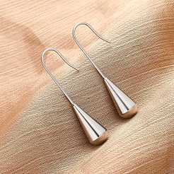 304 Stainless Steel Dangle Earrings&nbsp;EJEW-NH0004-01P