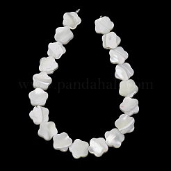 Natural Trochid Shell/Trochus Shell Beads Strands&nbsp;SH-CBA2978-08