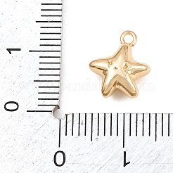 304 Stainless Steel Charms&nbsp;SA-CBA4377-02D-G
