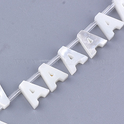 Natural Sea Shell Beads&nbsp;SHEL-T012-60