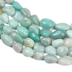 Natural Amazonite Nuggets Beads Strands&nbsp;G-J335-31A