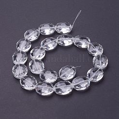 Glass Bead Strands&nbsp;GLAA-R196-24x20mm-01