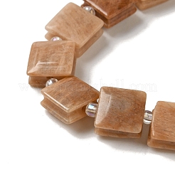 Natural Sunstone Beads Strands&nbsp;G-L596-A09-01