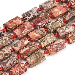 Natural Red Leopard Skin Jasper Beads Strands&nbsp;G-A314-A05-01