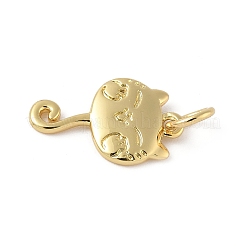 Brass Pendants&nbsp;KK-L245-03G-04