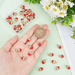 40Pcs Golden Plated Alloy Enamel Charms&nbsp;ENAM-HY0003-09