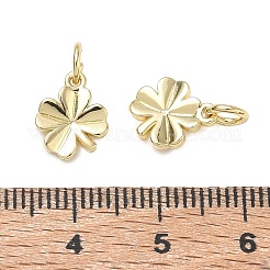 Brass Charms&nbsp;KK-CBA9234-03G