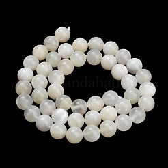 Natural White Moonstone Beads Strands&nbsp;G-L664-A01-8mm-A