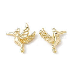 Brass Pendants&nbsp;X-KK-K271-06G