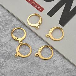 304 Stainless Steel Leverback Earring Findings&nbsp;X-STAS-P210-30G